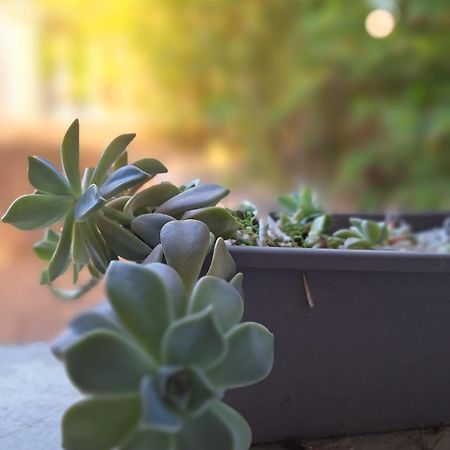 T2 De 45 M2 Sur Porticcio Avec Jardin Lägenhet Exteriör bild